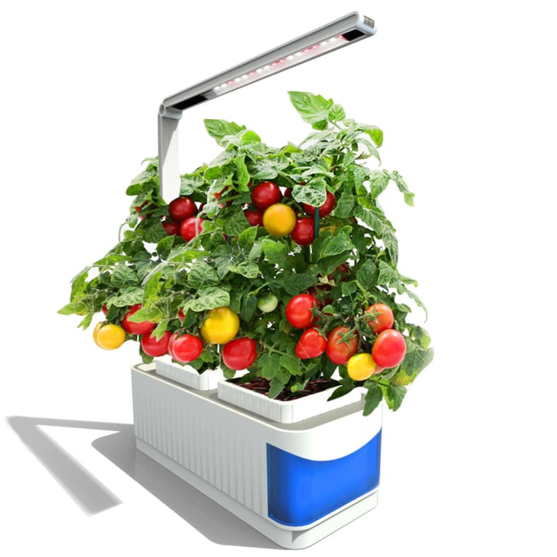 Mini Jardin Potager D’intérieur Hydroponique avec Lampe Led